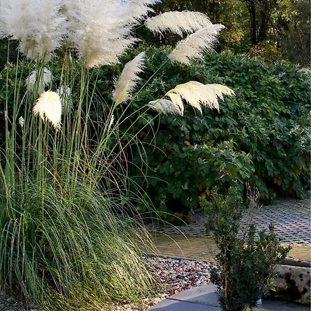 Hotel Wippertal - Voll Klimatisiert
