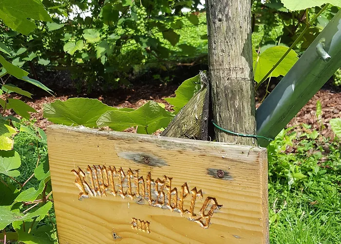 Wippertal - Voll Klimatisiert 3*