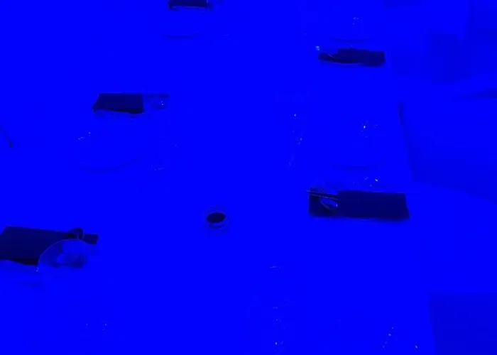 Wippertal - Voll Klimatisiert Hotell Bernburg