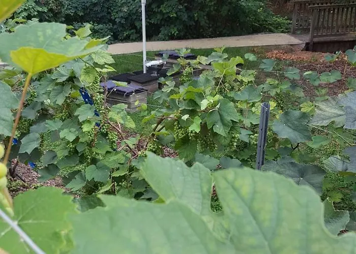 Hotell Wippertal - Voll Klimatisiert 3*