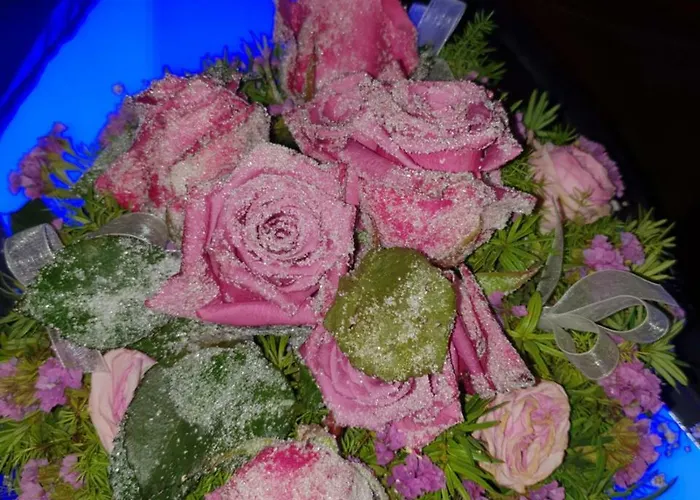 Wippertal - Voll Klimatisiert